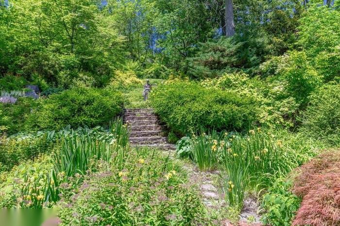 Stone steps climbing through the tiered perennial gardens