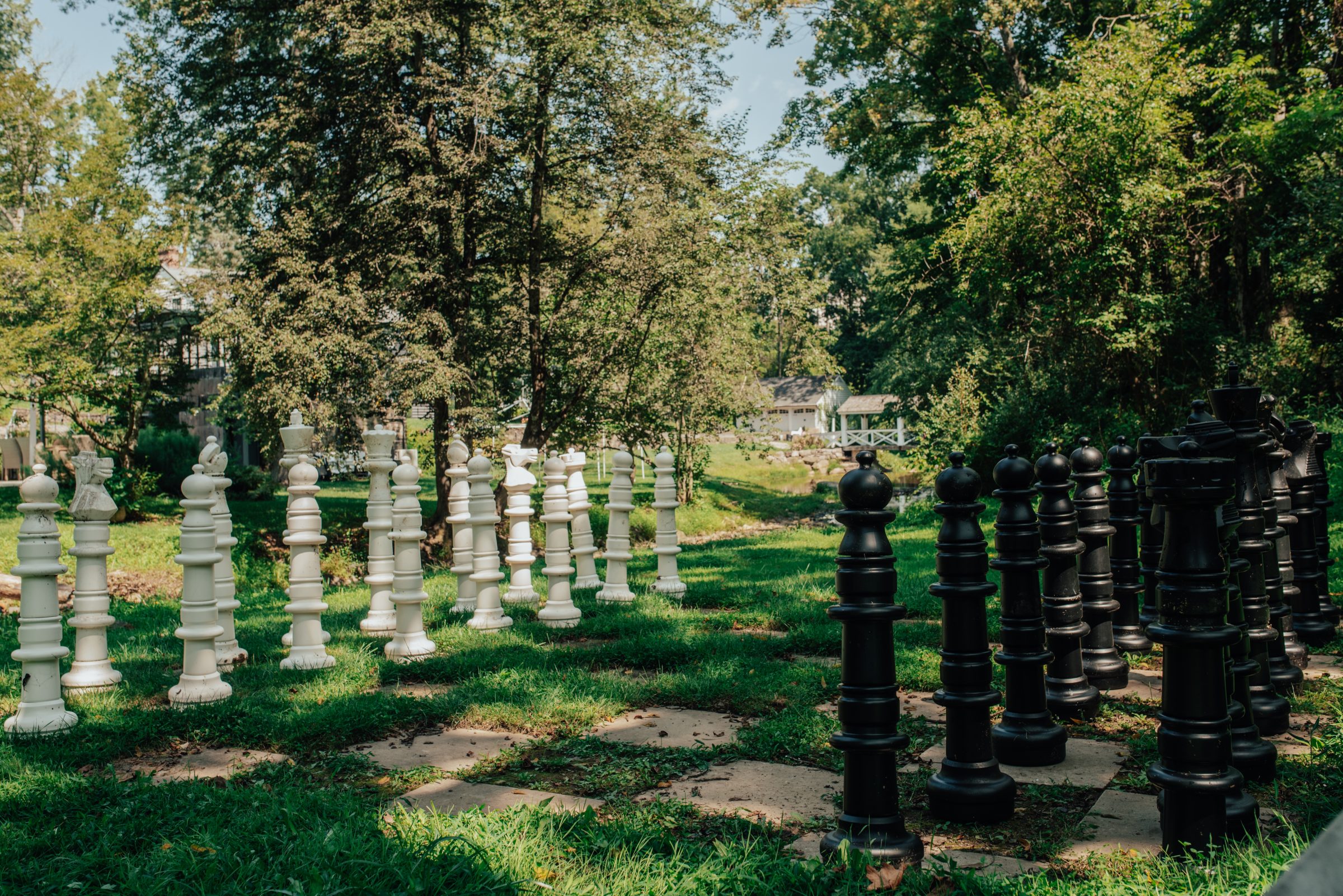 Yard-size chess set on the lawn under the oaks